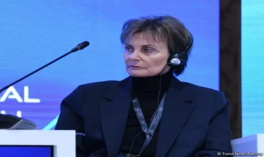 BMT TŞ münaqişələri həll edə bilmir - İsveçrənin sabiq prezidenti