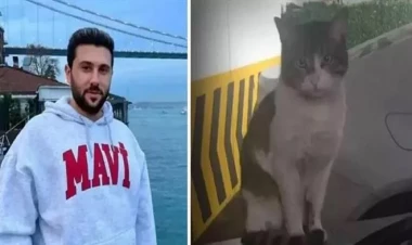 Türkiyədə heyvansevərlər bu qərardan sonra ayağa QALXDI - VİDEO - FOTO