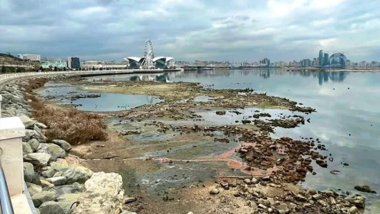 Həyəcan təbili: Xəzərin böyük bir hissəsi yox ola bilər - VİDEO