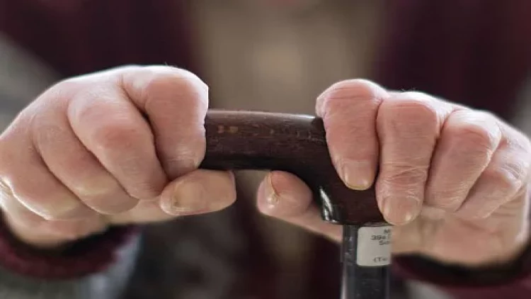 Azərbaycanda yaşlı qadının oğurluğu kameraya düşdü - FOTO