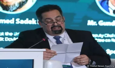 İslamafobiya sanki kimlərəsə sərf edir - Aiman Mazyek