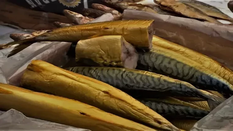 Duzlu balığın bilmədiyimiz faydaları