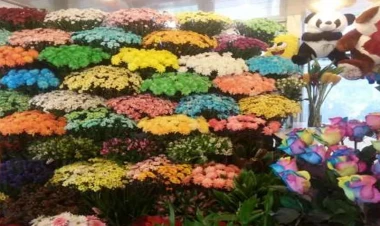 8 Mart ərəfəsi dükanlar: “Gülü baha almamısınız, sadəcə, baha olanını seçmisiniz” - FOTO