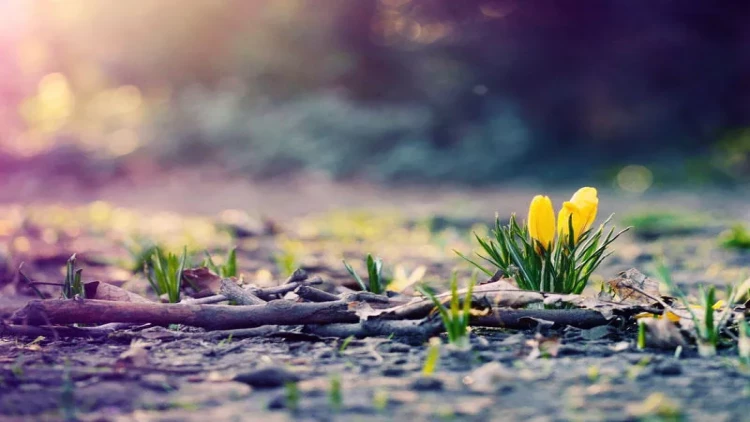 Ölkə ərazisində yüksək temperatur qeydə alınır