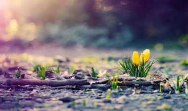 Ölkə ərazisində yüksək temperatur qeydə alınır