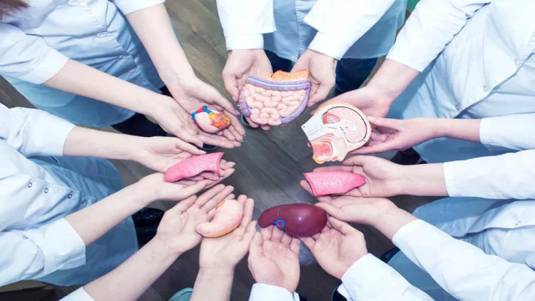 Azərbaycanda meyit donordan orqan götürülməsi mümkün olacaq? - VİDEO