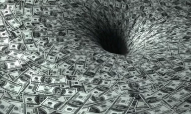 Milyonçu qonşunun 32 ağacını kəsdi: sərvətini itirə bilər