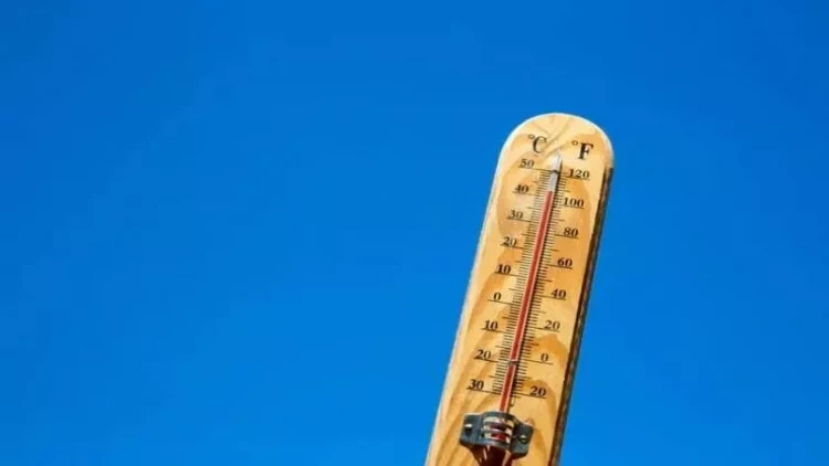 Şəhərləri yayın istisindən xilas etməyin ən təsirli yolu tapıldı