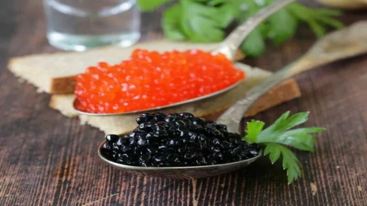 Hansı kürü daha sağlamdır? - Qara, yoxsa qırmızı