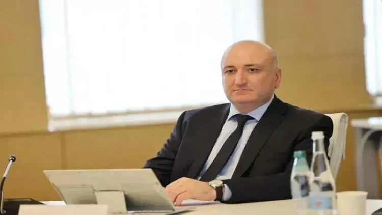 Gürcüstanda nazir istefa verdi