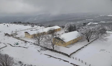 Sərhəddimizdə artıq 