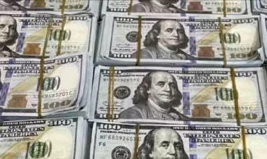 40 min dollar verdi, razılaşdıq - 143 milyonluq məhkəmə işindən...