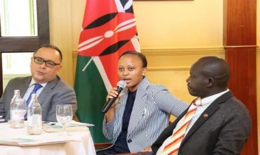 COP29-un Azərbaycan üzrə “Gənclər İqlim Çempionu” Keniya gənclər təşkilatlarının nümayəndələri ilə görüşüb - FOTO
