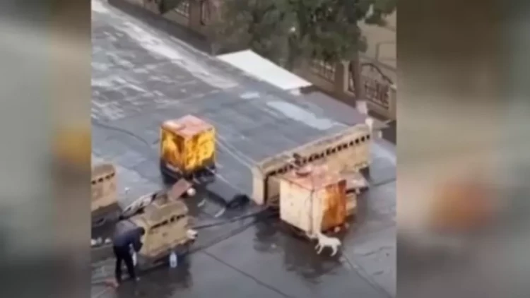 Bu görüntülər Azərbaycanda çəkildi - Kadrlar adamı şoka salır - VİDEO