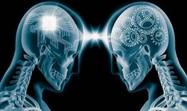 Baş-beyin transplantasiyası ilə bağlı sensasion açıqlama