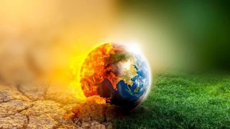 İqlim dəyişikliyi ərzaq təminatına və təhlükəsizliyinə neqativ təsir göstərir