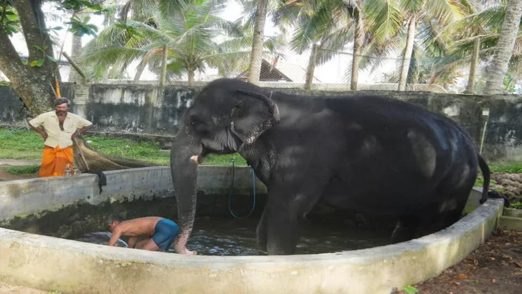 Rusiya və ukraynalılar üçün sərt qərar: Martın 7-dək...