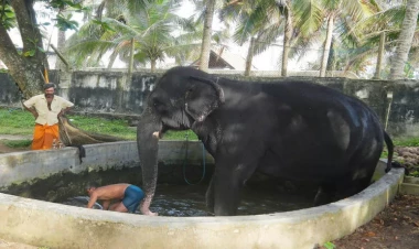 Rusiya və ukraynalılar üçün sərt qərar: Martın 7-dək...