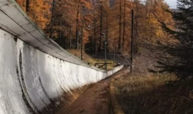 Olimpiya Oyunlarına görə 500 qədim ağac kəsiləcək