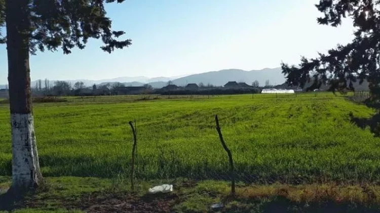 Bu kənd bələdiyyələri birləşdiriləcək