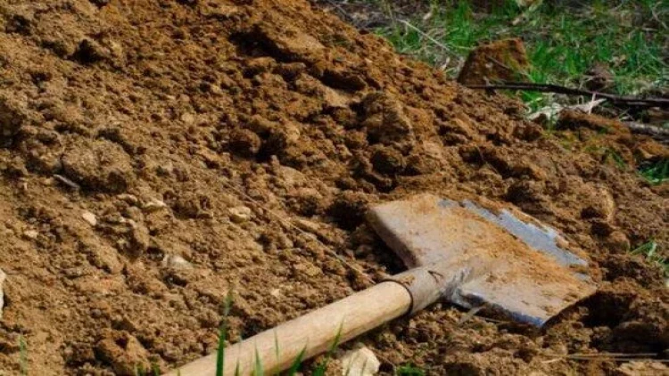 Azərbaycanda ata qızını öldürüb həyətdə basdırıbmış - 4 il sonra üzə çıxdı