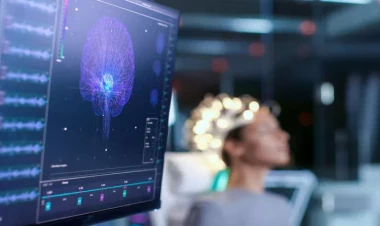 İnsan qərar qəbul edərkən beynində nələr baş verir? - ARAŞDIRMA