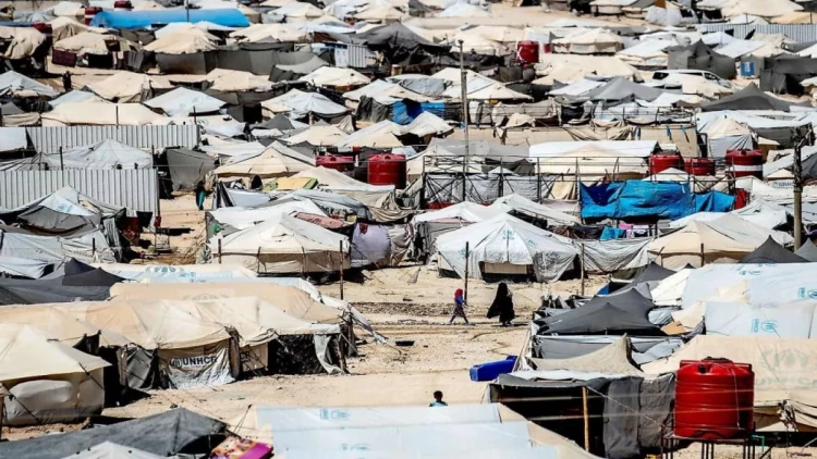 Azərbaycanın yeddi vətəndaşı Suriyadan Vətənə gətirildi