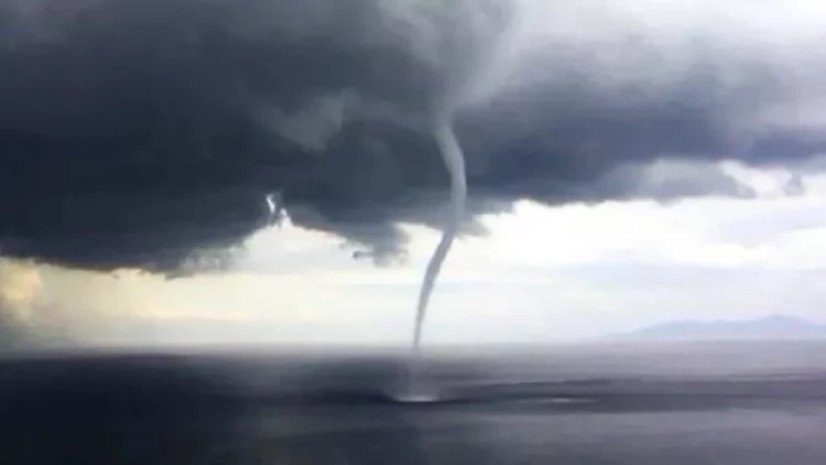 Türkiyədə güclü tornado - ağaclar kökündən çıxdı - VİDEO