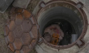 Pensiyaçı qadını balta ilə öldürüb cəsədini quyuya atdı