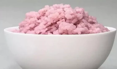 Qida sənayesində inqilab: Mal əti və düyüdən məhsul yetişdirildi - FOTOlar