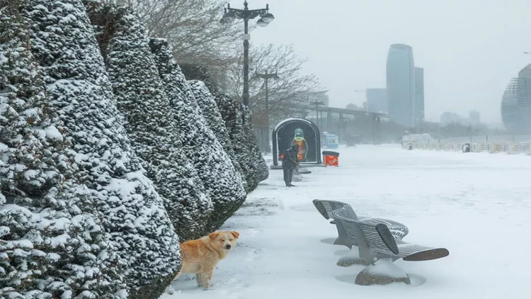 Sabah Bakıya qar yağacaq