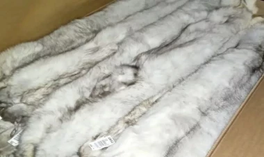 Azərbaycana daşınan tülkü dəriləri gömrükdə tutuldu - FOTO