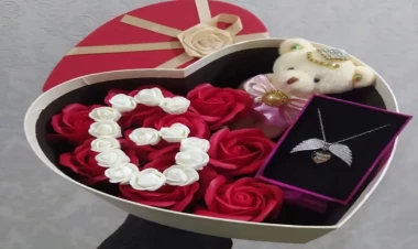 “Hədiyyənin əvəzini yataqda ödəmək lazım gəlir” - Müğənni - FOTO