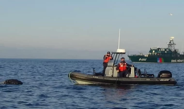 Xəzər dənizində 14 kiloqramdan çox marixuana aşkarlandı - DSX