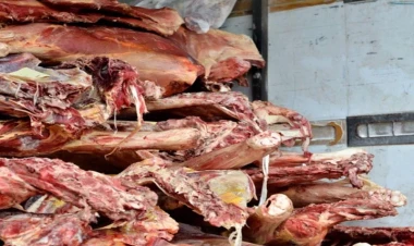 Azərbaycanda 1 ton yararsız ət aşkarlandı