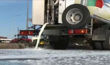 Etiraz edən fermerlər bir ton yarım südü yerə tökdülər - VİDEO