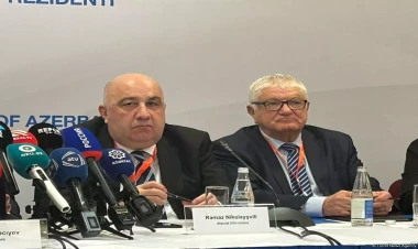 Azərbaycanda keçirilən seçkilər texniki cəhətdən yaxşı təşkil olunmuş seçkidir -  Gürcü deputat