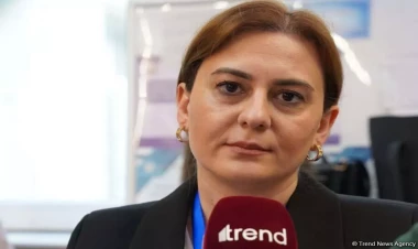 Hər şey normaldır, heç bir qayda pozuntusu yoxdur - Müşahidəçi