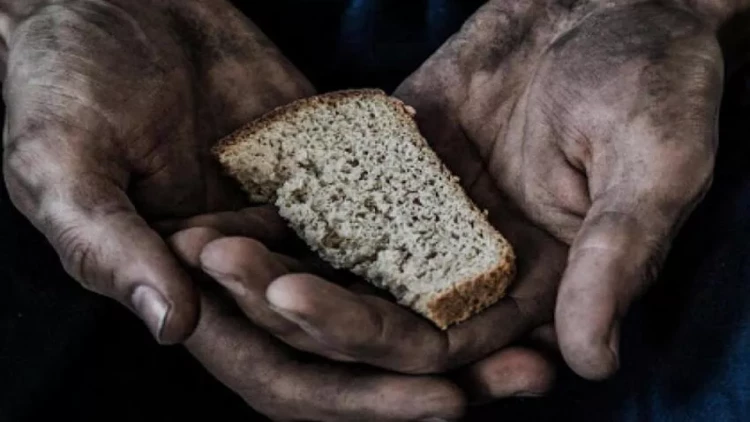 Ermənistanda aclıq təhlükəsi - ölkənin kənd təsərrüfatı tənəzzülə uğrayıb