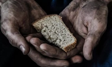 Ermənistanda aclıq təhlükəsi - ölkənin kənd təsərrüfatı tənəzzülə uğrayıb