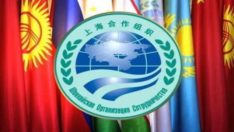 ŞƏT-in müşahidəçilər missiyası Bakıya gəldi