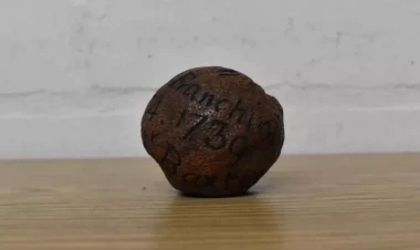 285 illik limon hərracda satıldı - FOTO