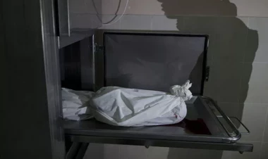 Şəmkirdə evdən çürümüş meyit tapıldı