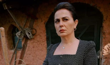 Daha bir seriala çəkiləcək