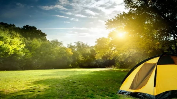 Maliyyə ətraf mühitin mühafizəsi uğrunda mübarizənin həlledici amilidir - BMT nümayəndəsi