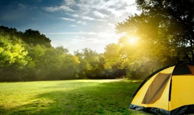 Maliyyə ətraf mühitin mühafizəsi uğrunda mübarizənin həlledici amilidir - BMT nümayəndəsi