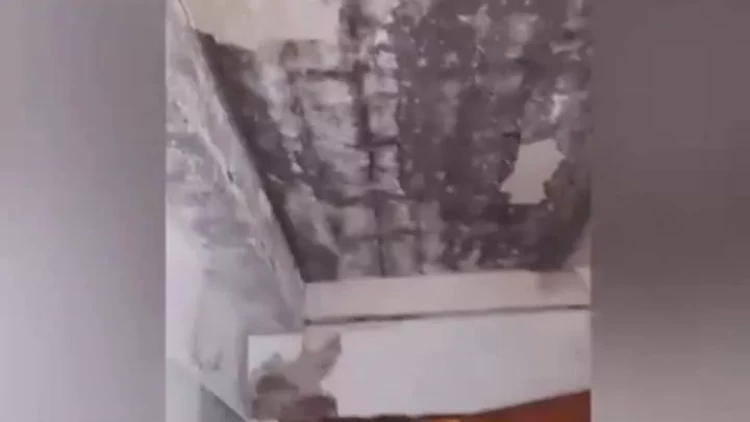 ADPU-nun pis vəziyyətdə olan sanitar qovşağı ilə bağlı universitetdən AÇIQLAMA - VİDEO