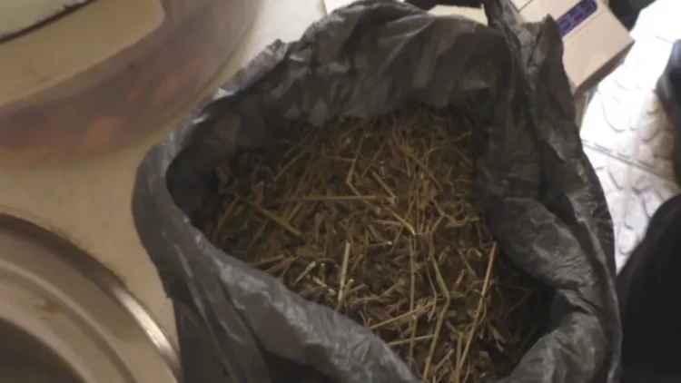 Qaxda narkotik satan qonşular saxlanılıdı