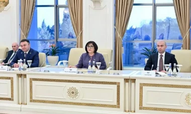 Milli Məclisin sədri: Fransa Cənubi Qafqazda sülhün əldə olunmasını istəmir