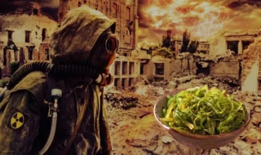 Nüvə fəlakəti zamanı bəşəriyyəti belə xilas edəcəklər: Həll yolu TAPILDI -  Bu bitki ilə...